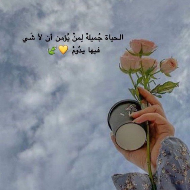 خواطر / whats _ snap _ Insta
